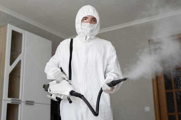 Why You Should Choose Our Mold Remediation Services in Oak Park Heights, MN